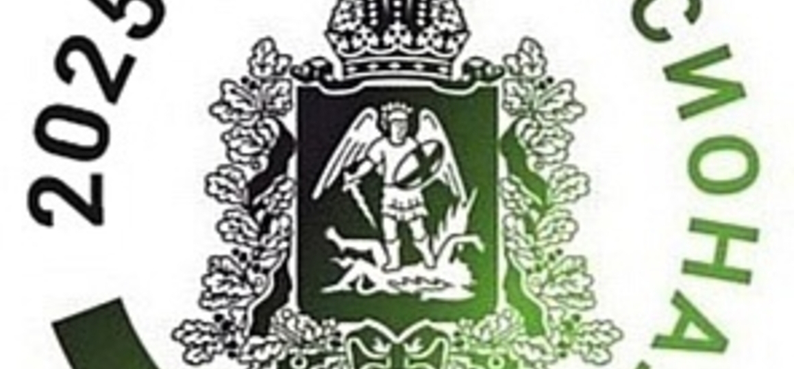 Профессионалы 2025