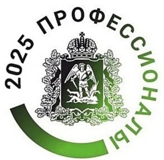 Профессионалы 2025