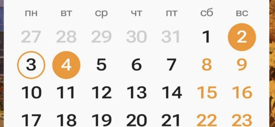 Как работаем, учимся и отдыхаем в ноябре